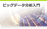 ビッグデータ分析入門